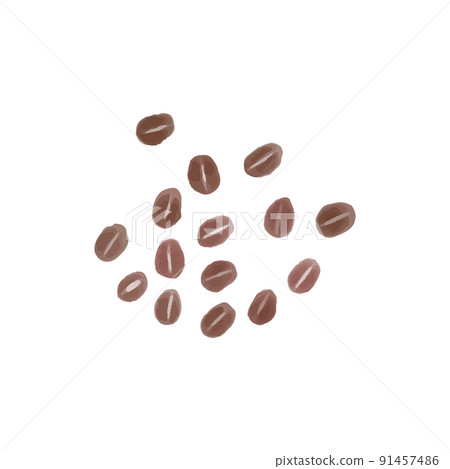 Illustration of watercolor coffee beans 91457486
