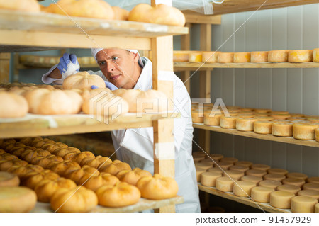 Cheesemaker checking aging process of cheese in maturing chamber Cheesemaker checking aging process of cheese in maturing chamber 91457929