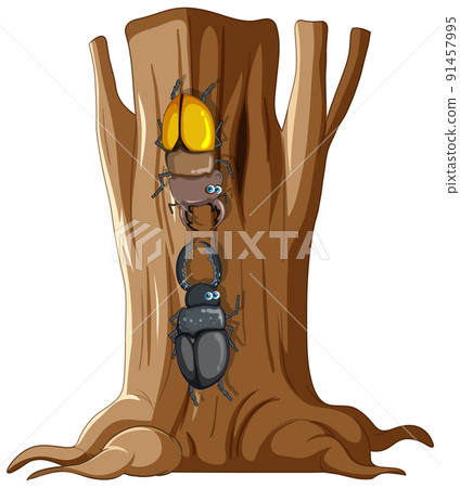 Beetle fighting on a tree Beetle fighting on a tree 91457995