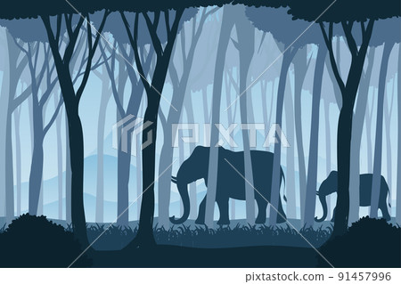 Silhouette shadow of forest scene Silhouette shadow of forest scene 91457996