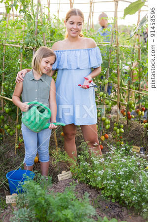 Mother, father and daughter watering plants Mother, father and daughter watering plants 91458596