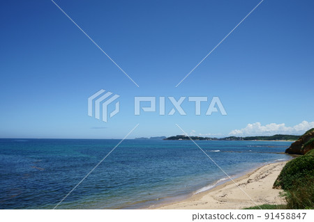 Sunflowers spreading in front of you 91458847