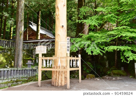 長野縣諏訪市諏訪大社上神社一野Onbashira和本社境內的新鮮綠色 長野縣諏訪市諏訪大社上神社一野Onbashira和本社境內的新鮮綠色 91459024