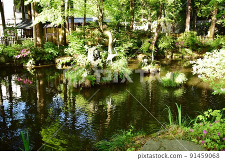 Chihiroike and fresh green of Suwa Taisha Shimosha Akimiya, Shimosuwa Town, Nagano Prefecture Chihiroike and fresh green of Suwa Taisha Shimosha Akimiya, Shimosuwa Town, Nagano Prefecture 91459068