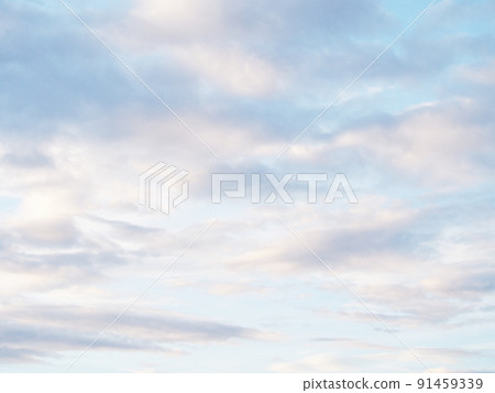 A pale and beautiful evening sky 91459339