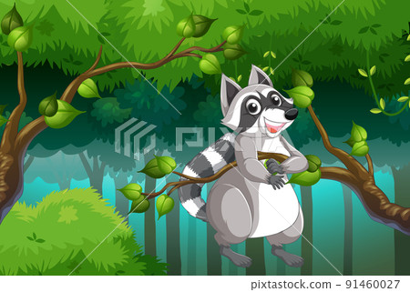 Cute raccoon on the tree branch Cute raccoon on the tree branch 91460027