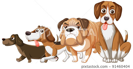 A group of different dog on white background 91460404