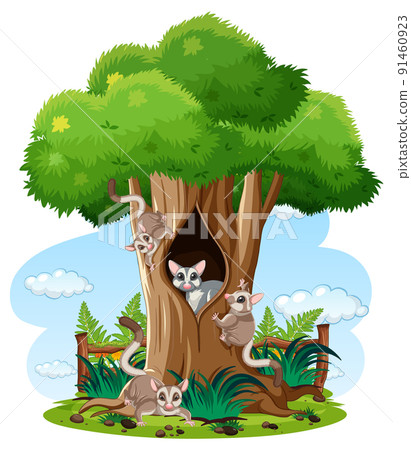 Scene with sugar gliders in forest 91460923