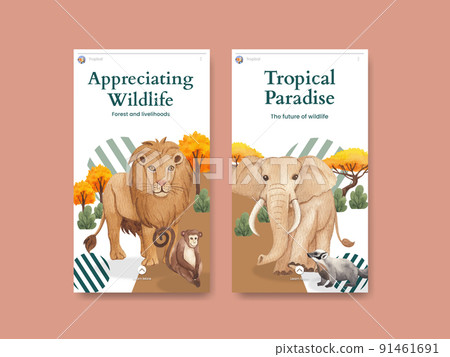 Instagram template with tropical wildlife concept,watercolor style Instagram template with tropical wildlife concept,watercolor style 91461691