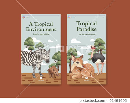 Instagram template with tropical wildlife concept,watercolor style Instagram template with tropical wildlife concept,watercolor style 91461693