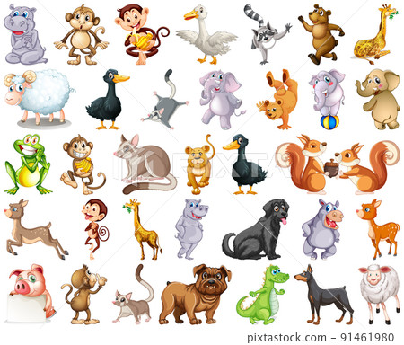 Set of animal cartoon character 91461980