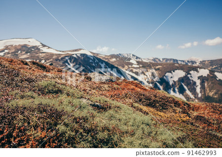 A field with a mountain in the background A field with a mountain in the background 91462993