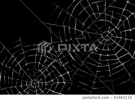 Spider web on black background Spider web on black background 91463219