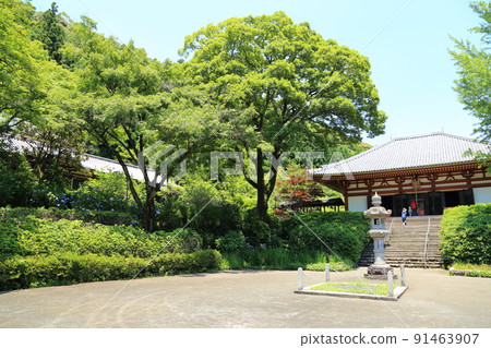 "Flower Temple" Kyuanji Temple Main Hall [Ikeda City, Osaka Prefecture] 91463907