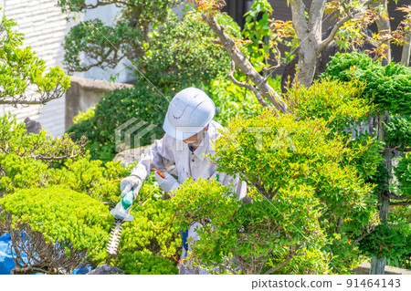 在職老人為當地社區做貢獻 修剪植物 91464143