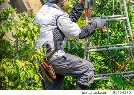 在職老人為當地社區做貢獻 修剪植物 91464170