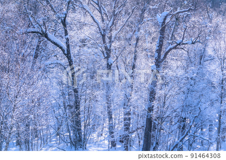 《北海道》霧凇和風暴·冬季北海道 91464308