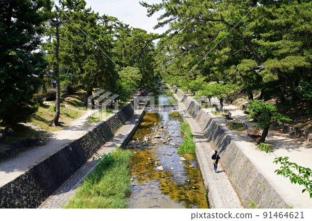 兵庫西宮市 宿川和宿川河床綠地(大出橋附近)(初夏) 兵庫西宮市 宿川和宿川河床綠地(大出橋附近)(初夏) 91464621