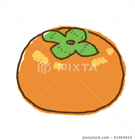 手繪水果柿子插畫 91464914