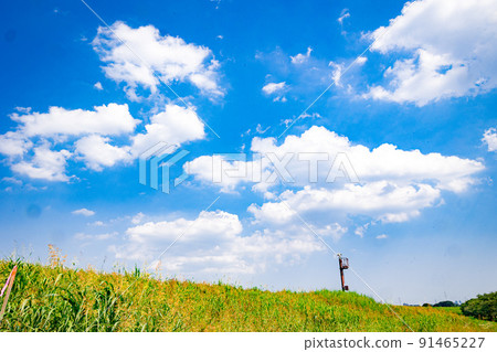 夏の雲 91465227
