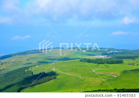 清爽草甸的夏天霧峰 91465583