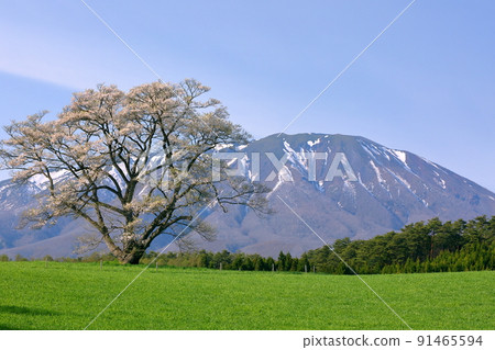 岩手縣岩手郡雫石町丸屋 91465594