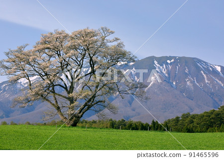 岩手縣岩手郡雫石町丸屋 91465596