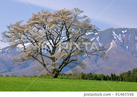 岩手縣岩手郡雫石町丸屋 91465598