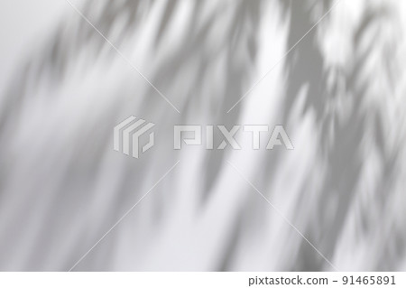 shadows of tree leaves branches on a white wall 91465891