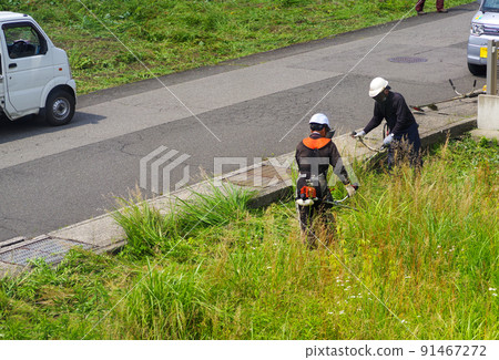 Elderly people mowing fallow fields Elderly people mowing fallow fields 91467272
