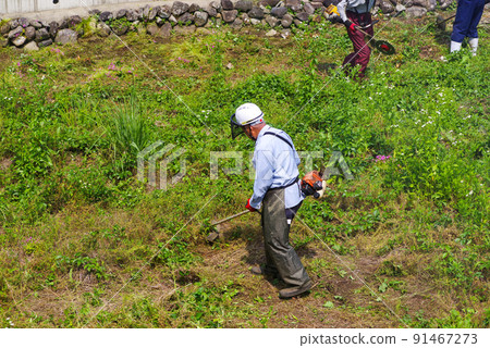 Elderly people mowing fallow fields Elderly people mowing fallow fields 91467273