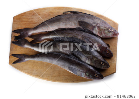 Sea bass isolated on white 91468062