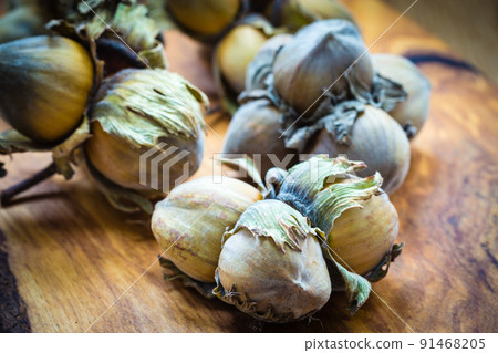 Hazelnuts cluster filbert nuts in the hard shell. - Stock Photo ...