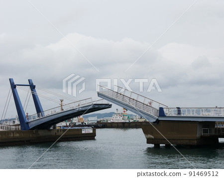 Blue wing too 91469512