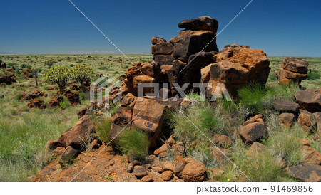 Quiver tree and giants sports ground near Keetmanshoop, Namibia 91469856
