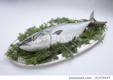 Cold weather 91470447