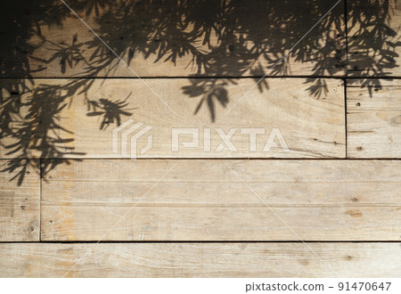 Tree leaves shadow on Wooden wall Nature style background Tree leaves shadow on Wooden wall Nature style background 91470647