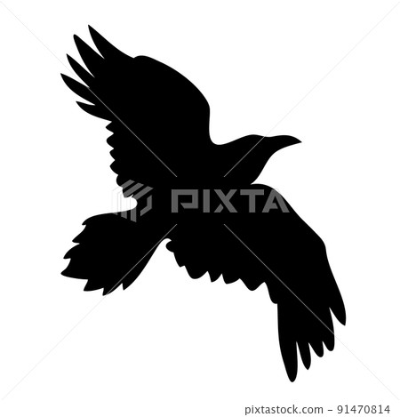 Realistic raven vector silhouette for icon. Hand drawn style Realistic raven vector silhouette for icon. Hand drawn style 91470814