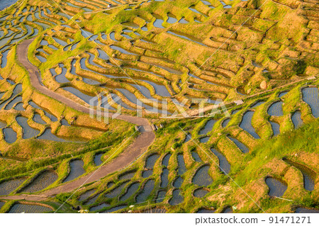 《石川縣》能登的風景區,黃昏的白米千舞田 《石川縣》能登的風景區,黃昏的白米千舞田 91471271