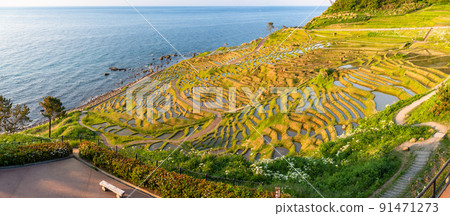 《石川縣》能登的風景區，黃昏的白米千舞田 91471273