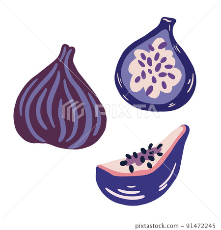 Figs. Whole exotic fruit, cut figs, half and quarter. Summer tropical fruits for a healthy lifestyle. Vector cartoon illustration isolated on the white background. Figs. Whole exotic fruit, cut figs, half and quarter. Summer tropical fruits for a healthy lifestyle. Vector cartoon illustration isolated on the white background. 91472245