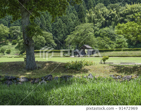 一乘谷朝倉遺跡:眺望朝倉館遺跡和唐門 一乘谷朝倉遺跡:眺望朝倉館遺跡和唐門 91472969