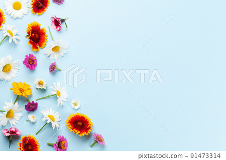 Various garden flowers on wooden background Various garden flowers on wooden background 91473314