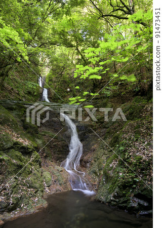 Ryumon Waterfall (Yoshino Town, Yoshino District, Nara Prefecture) Ryumon Waterfall (Yoshino Town, Yoshino District, Nara Prefecture) 91473451
