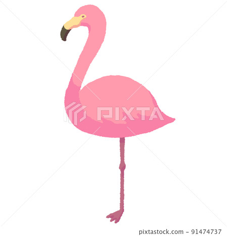 簡單的火烈鳥 簡單的火烈鳥 91474737