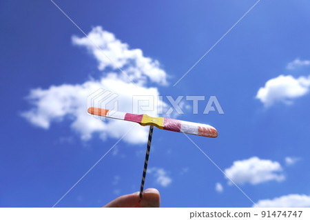 Bamboo dragonfly and sky 05 91474747