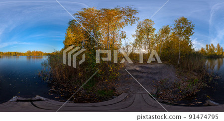 Full spherical 360 by 180 degrees panorama of evening autumnal lake with birch forest on its shores 91474795