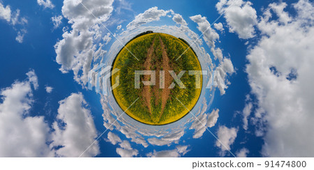 little planet projection of 360 degree spherical panorama of summer day blossomong yellow rapseed colza field little planet projection of 360 degree spherical panorama of summer day blossomong yellow rapseed colza field 91474800