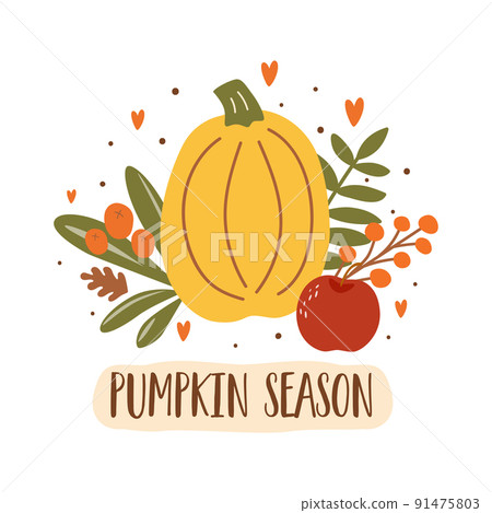 Pumpkin season. Autumn hand drawn pumpkin, apple, berry leaves. Fall season sticker. Vector autumn harvest illustration. October harvest banner. Organic vegetable garden food. Cute fall sticker. 91475803