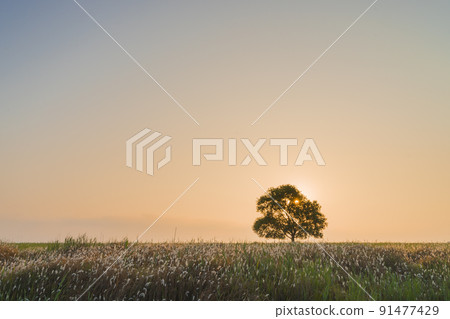 season of sprains 91477429